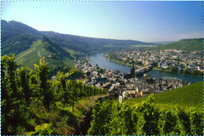 德国葡萄酒巡展即将启程，史上最大规模展团重磅登陆北京、杭州、深圳！