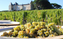 国际OIV发布2018年世界葡萄酒产量数据