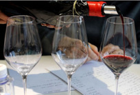 1.8万酒商围观，这场论坛讲透了葡萄酒圈哪些事?